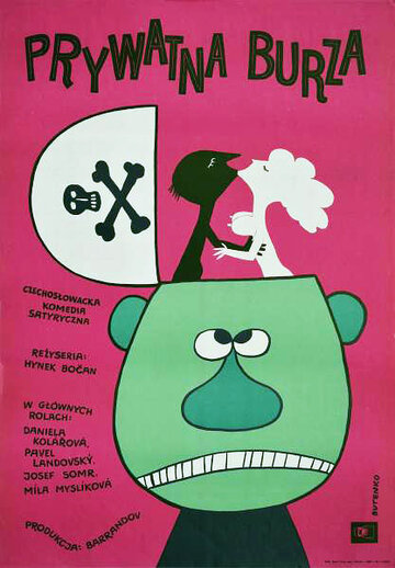 Частная буря (1967)